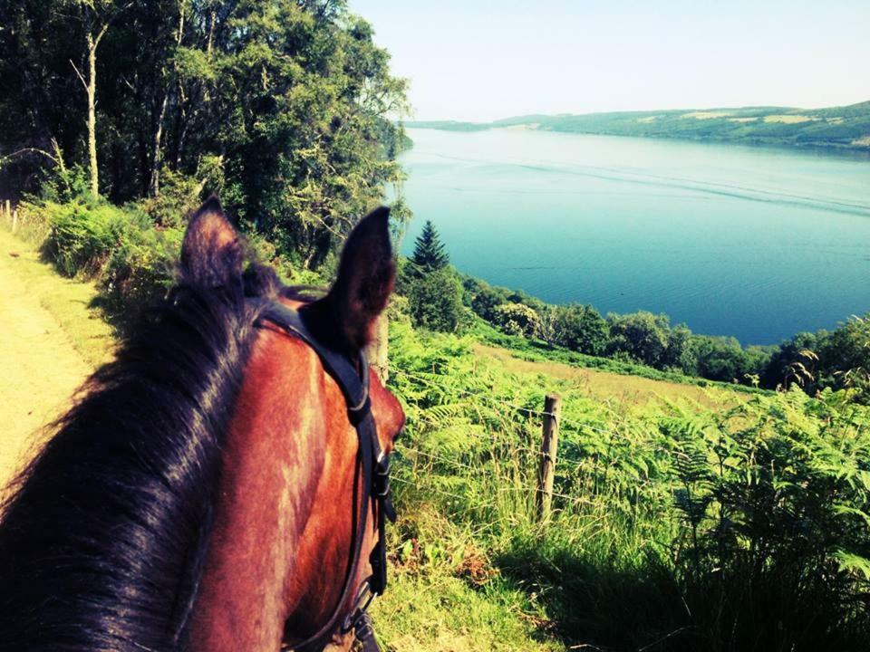 Loch Ness B And B Inverness Zewnętrze zdjęcie