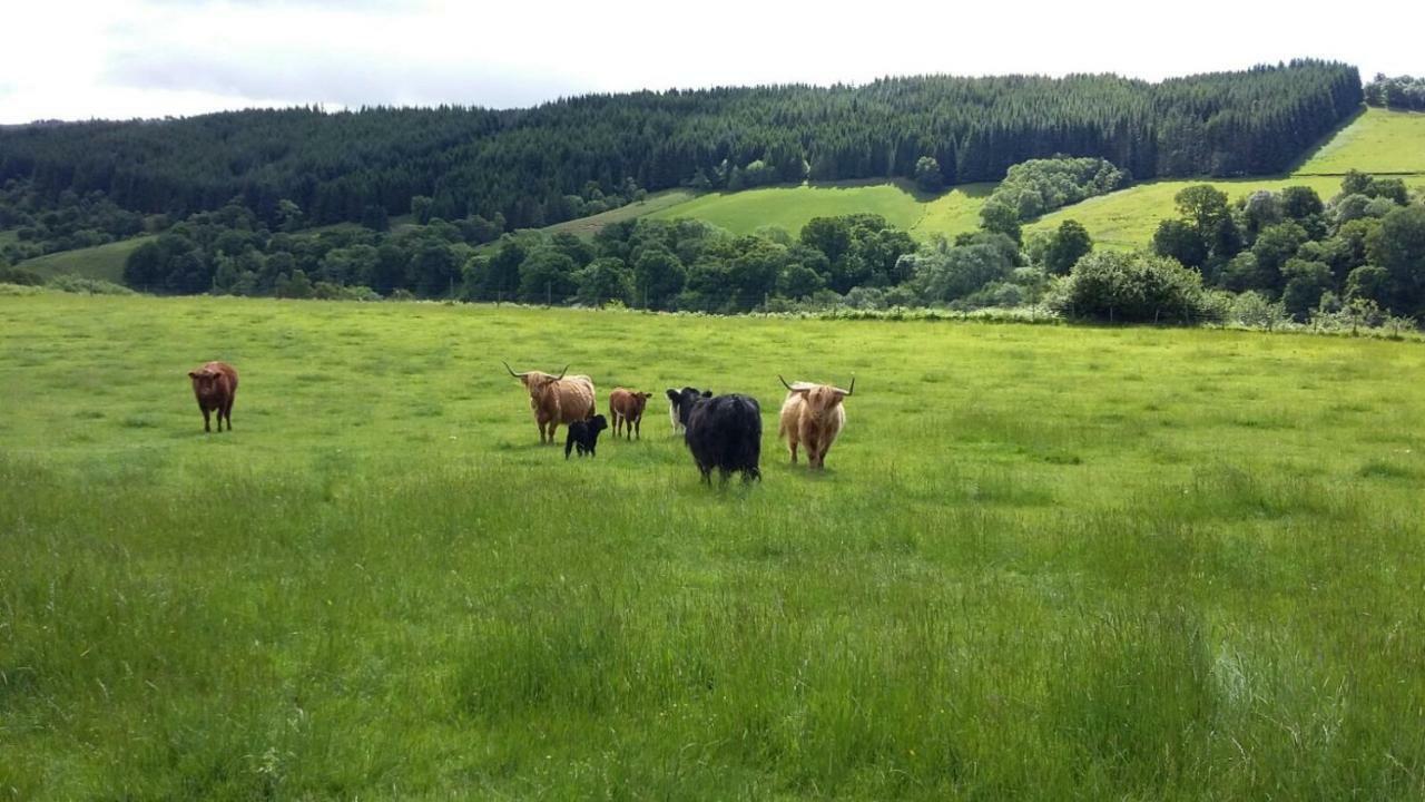 Loch Ness B And B Inverness Zewnętrze zdjęcie